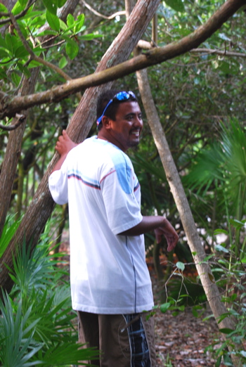 Bird Island belize171325.tmp/BZBIWHITESTORKS.jpg