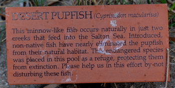 Pupfish 171325.tmp/CVPvisitorcenter.jpg