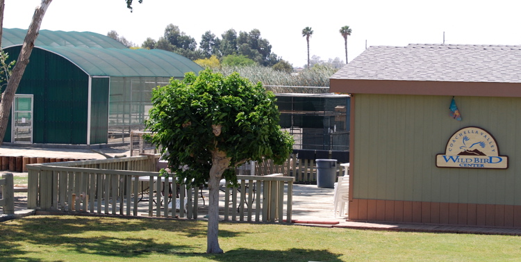 picturegallery171325.tmp/CoachellaValleyWildBirdCenter.jpg